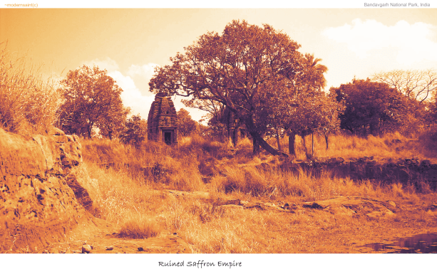 Bandhavgarh National Park